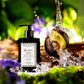 Istanbul Shampooing Parfumé 250ml